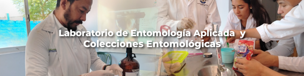 Web_CEDESU_Laboratorio de Entomología Aplicada y Colecciones Entomológicas